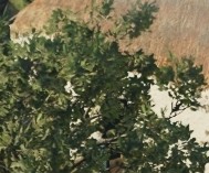 Screenshot 2025-03-16 113256.jpg