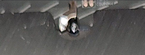 Screenshot 2025-08-14 185327.png