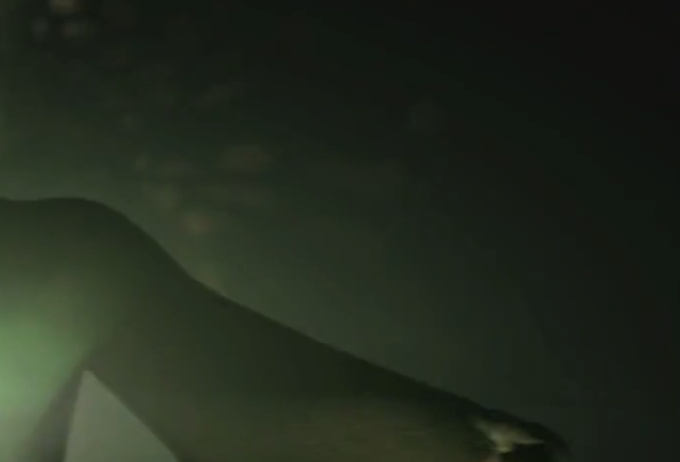 Screenshot 2025-08-17 232906.png