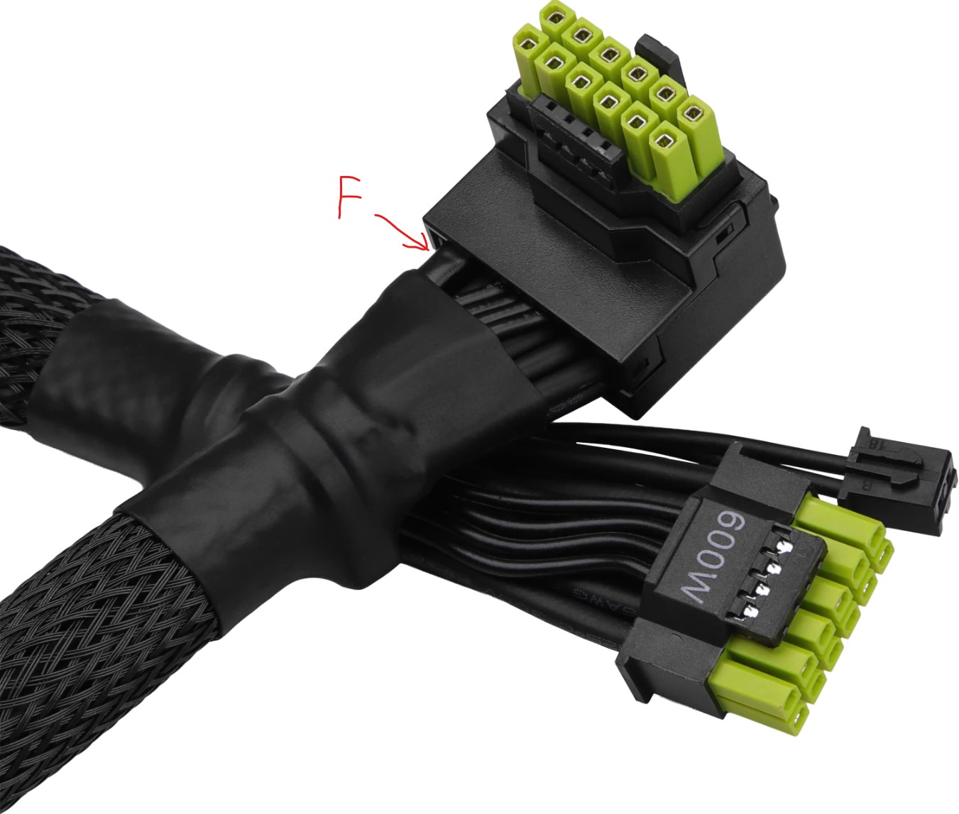 Screenshot 2026-02-22 110205.jpg