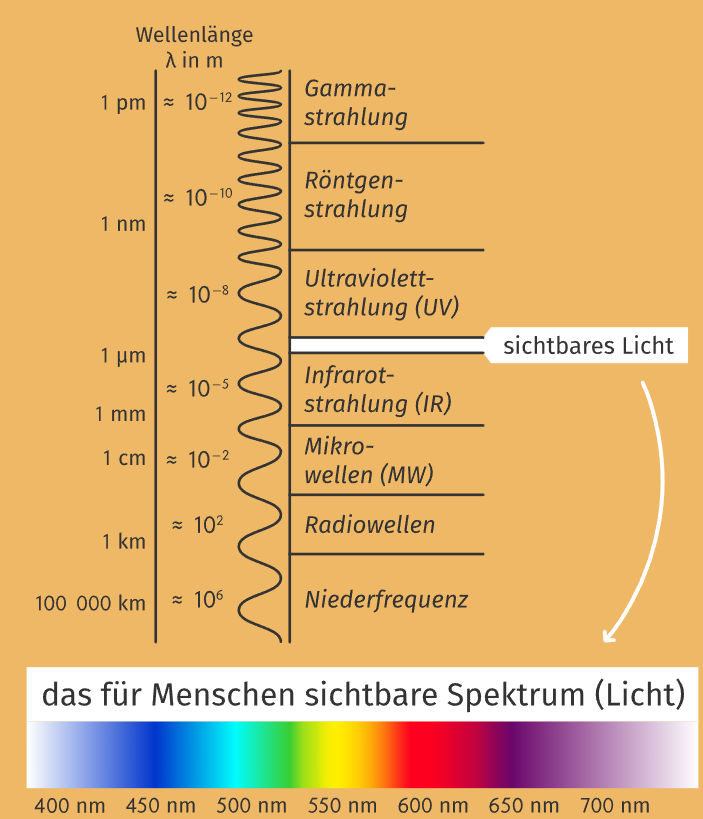 Screenshot 2026-03-03 170333.png