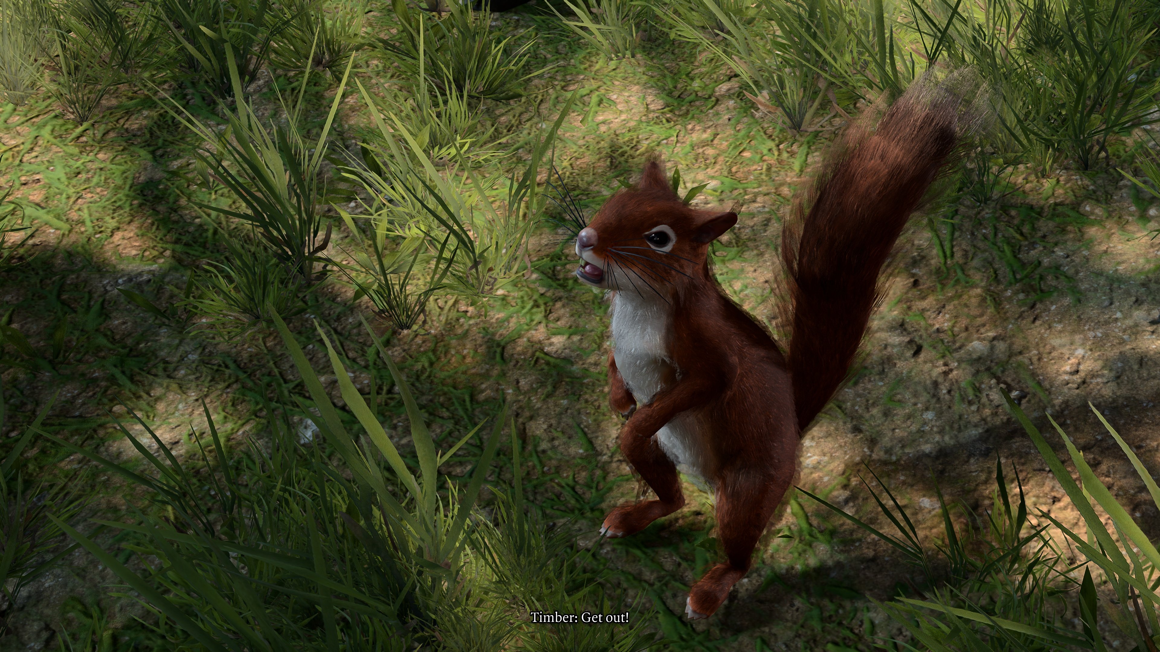 Screenshot (973).jpg