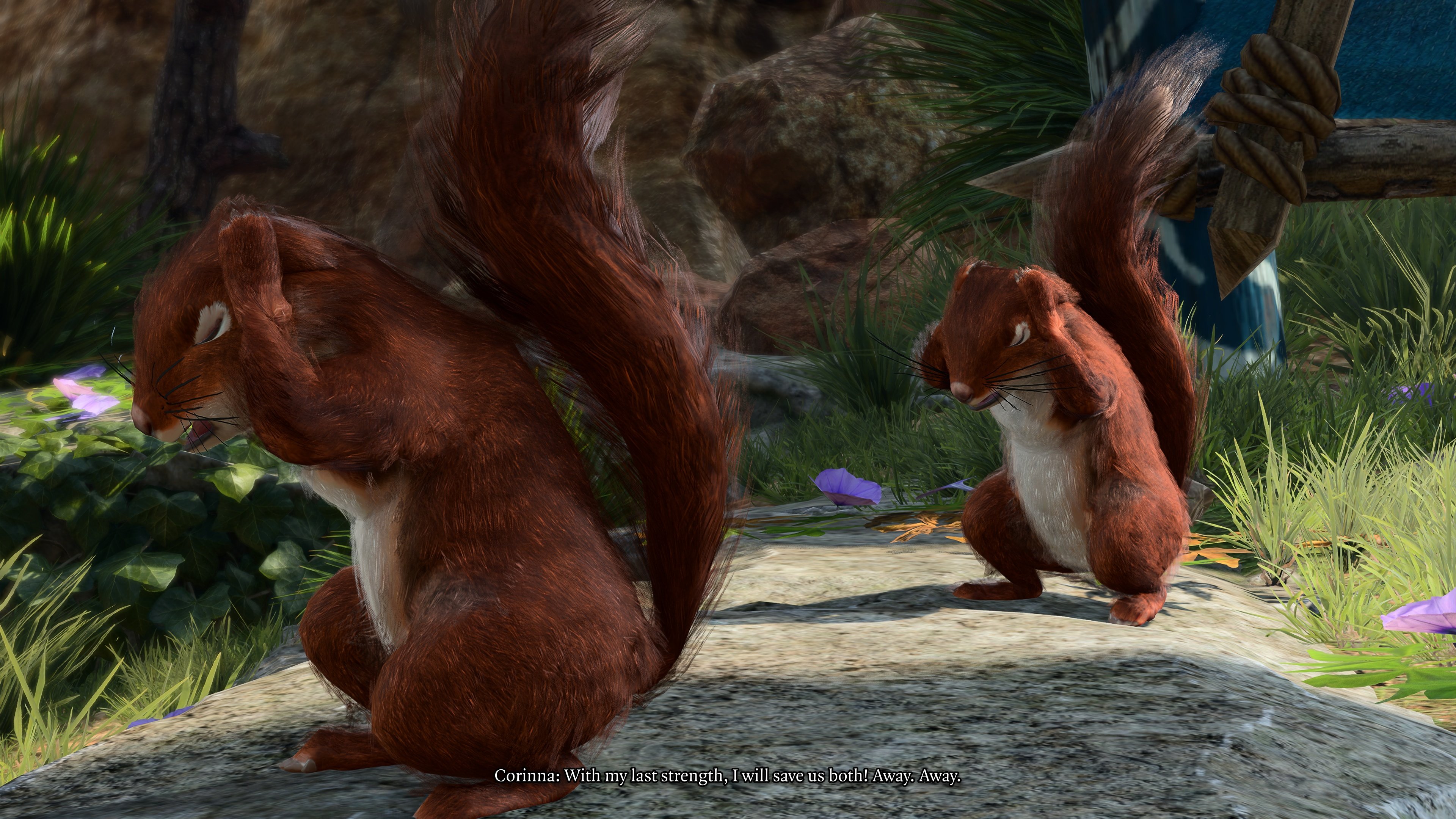 Screenshot (977).jpg