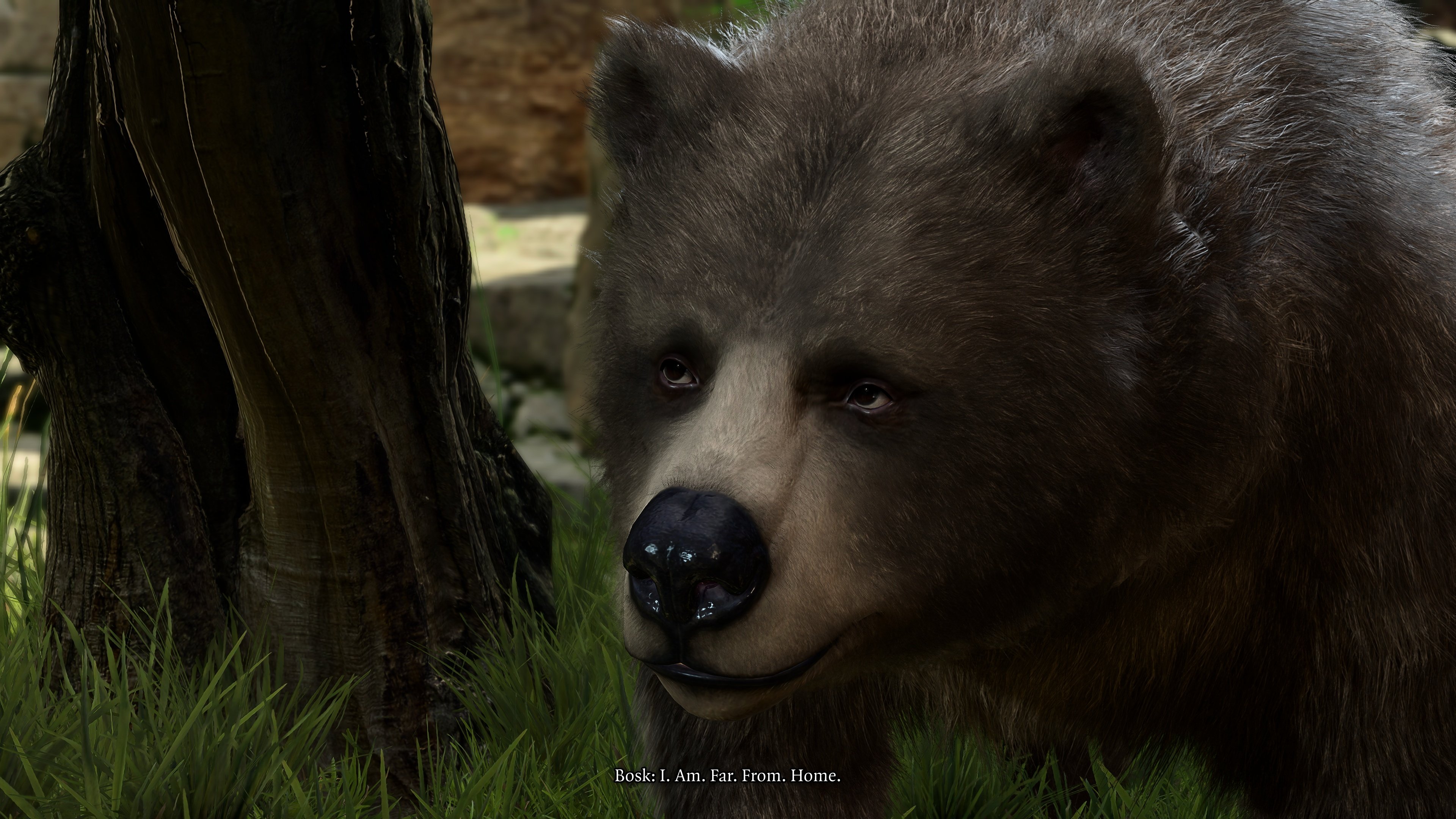 Screenshot (984).jpg
