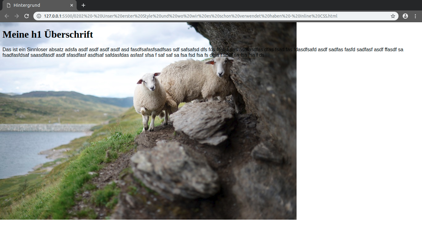 Screenshot from 2019-03-24 19-40-38.png