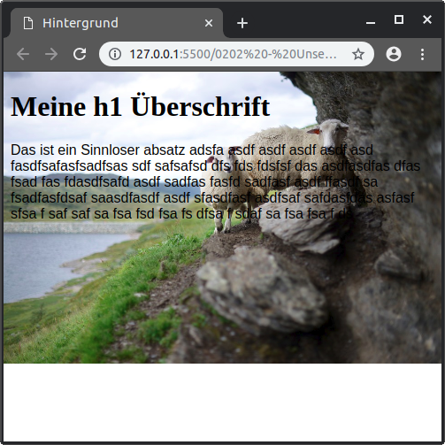 Screenshot from 2019-03-24 20-23-06.png