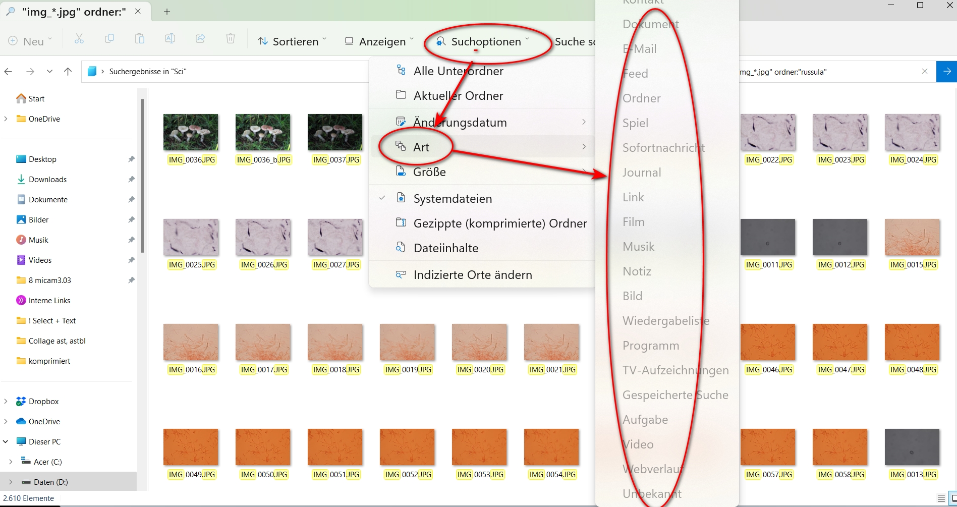 Screenshot Win 11 Explorer Suche.jpg