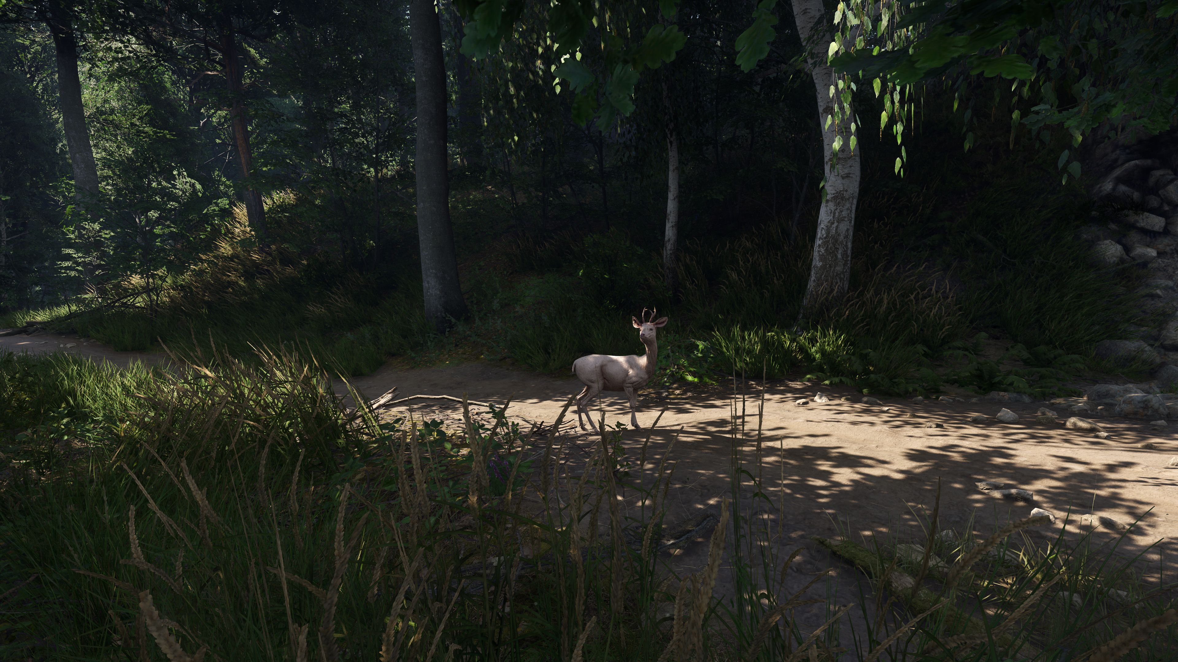 screenshot_260607_205201.jpg