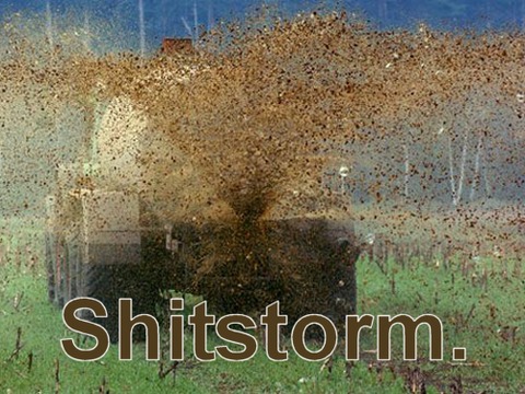 shitstorm-jpg.287114