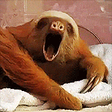 SleepyGIF.gif