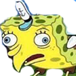 sponge.png