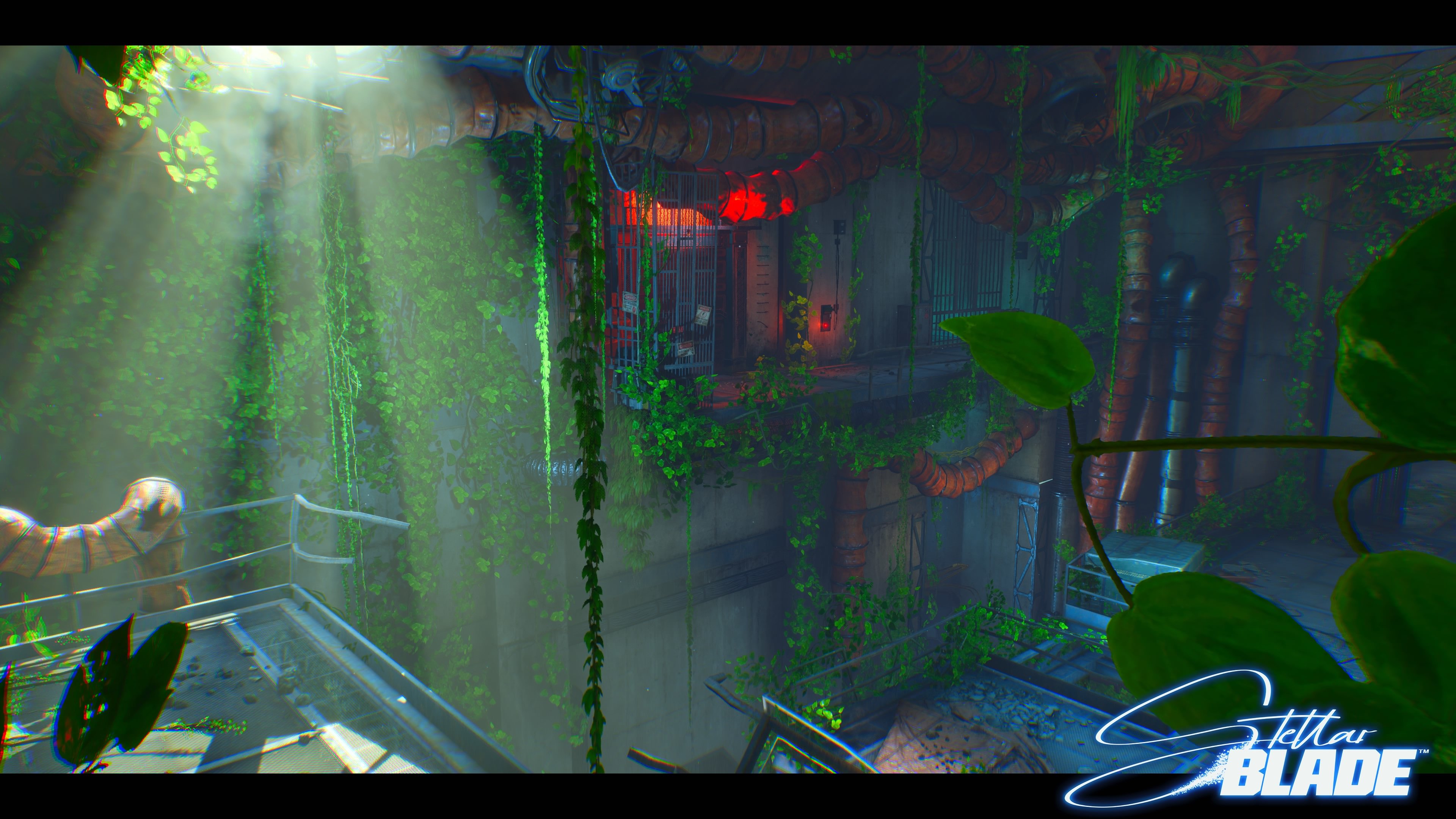 Stellar Blade_20241203230122.jpg