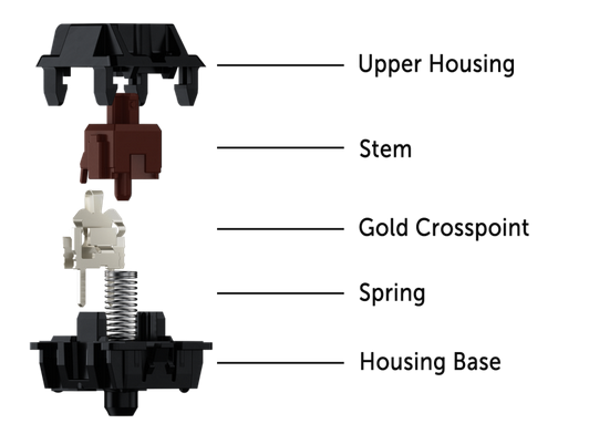 Stem.png
