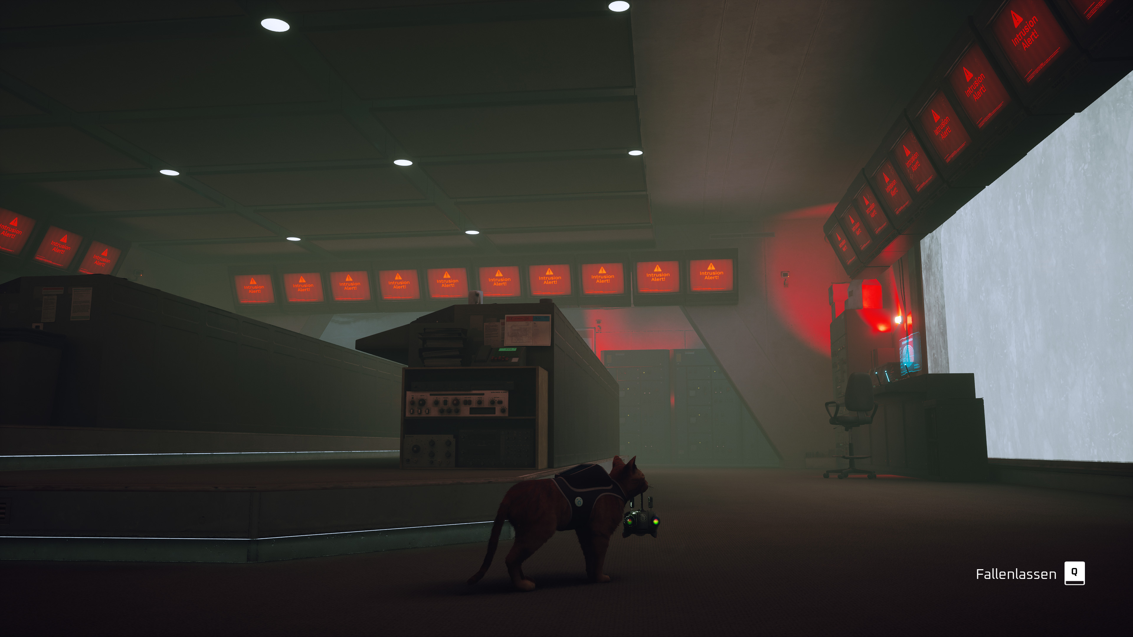 [Stray]   27.11.2023 00_05_59.jpg