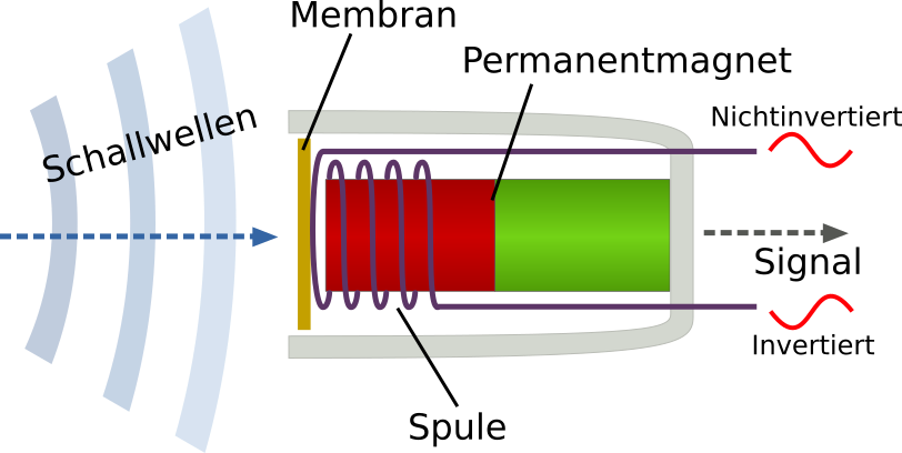Tauchspulenmikrofon.png