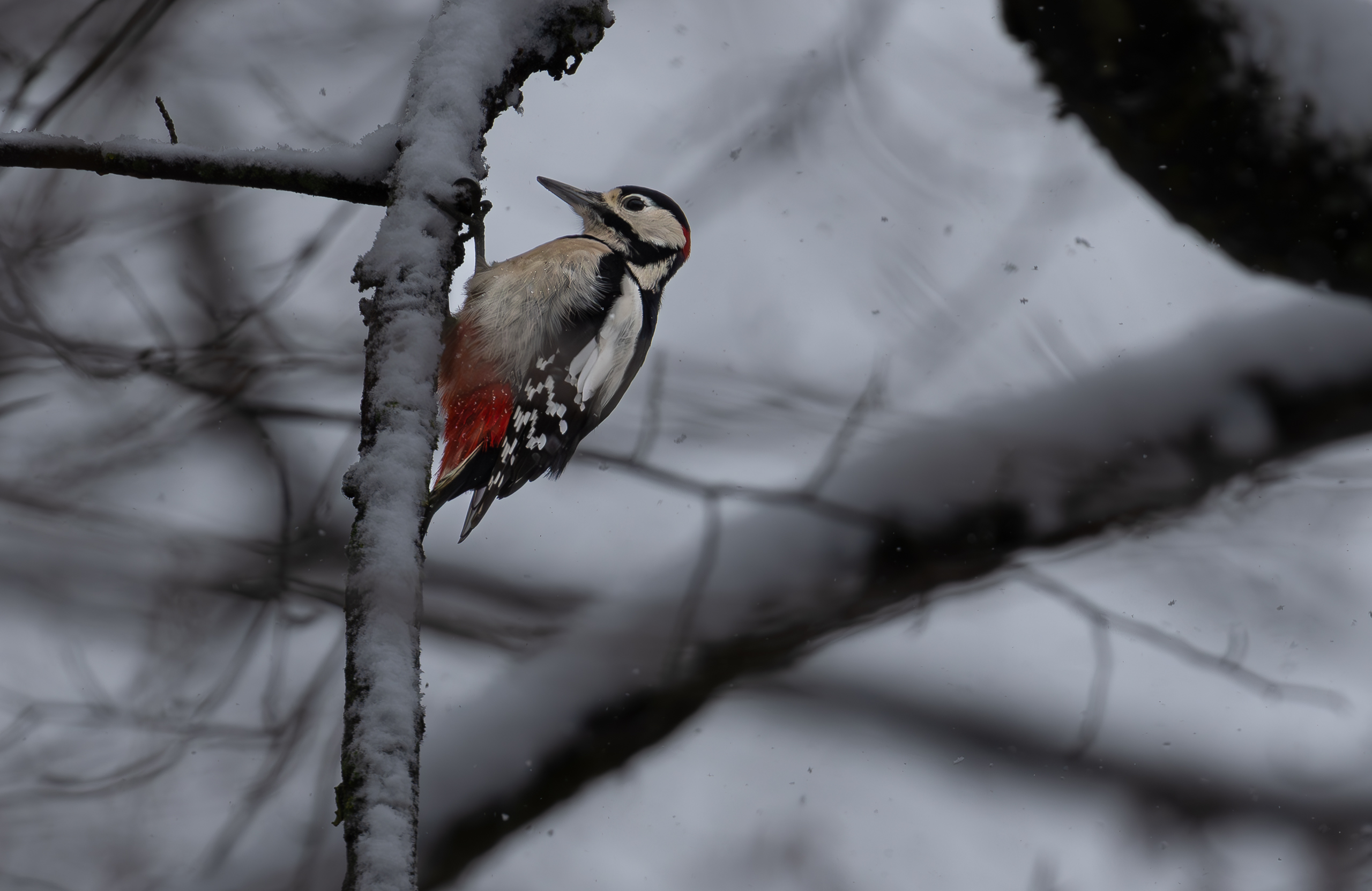 teletest (15 von 22).jpg