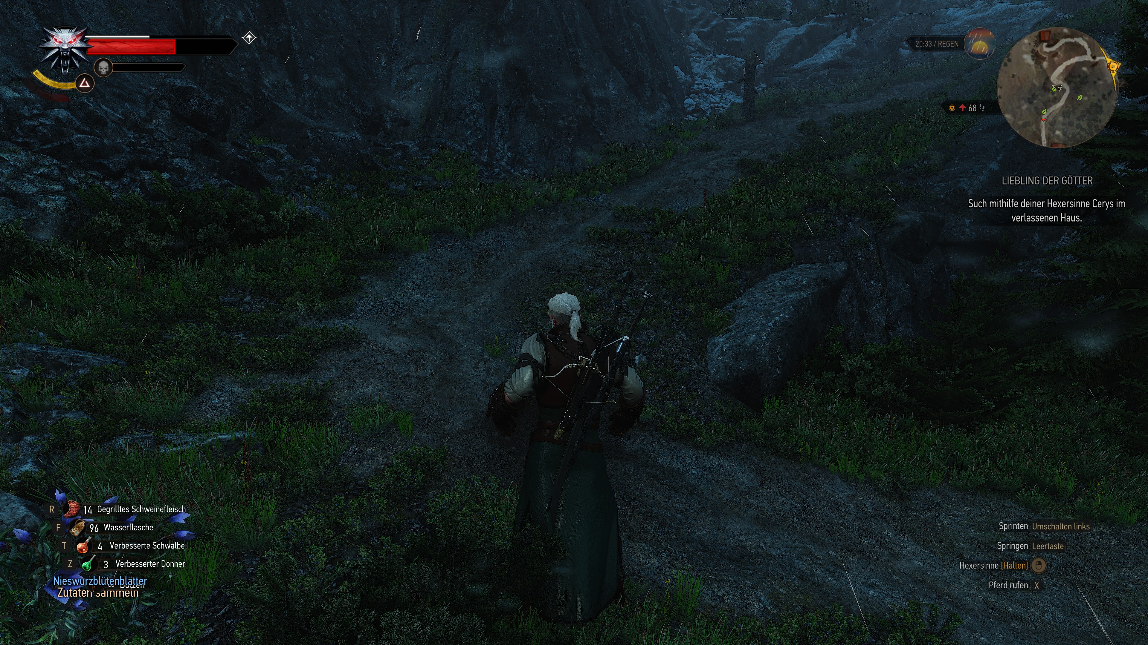 The Witcher 3 - 1.jpg