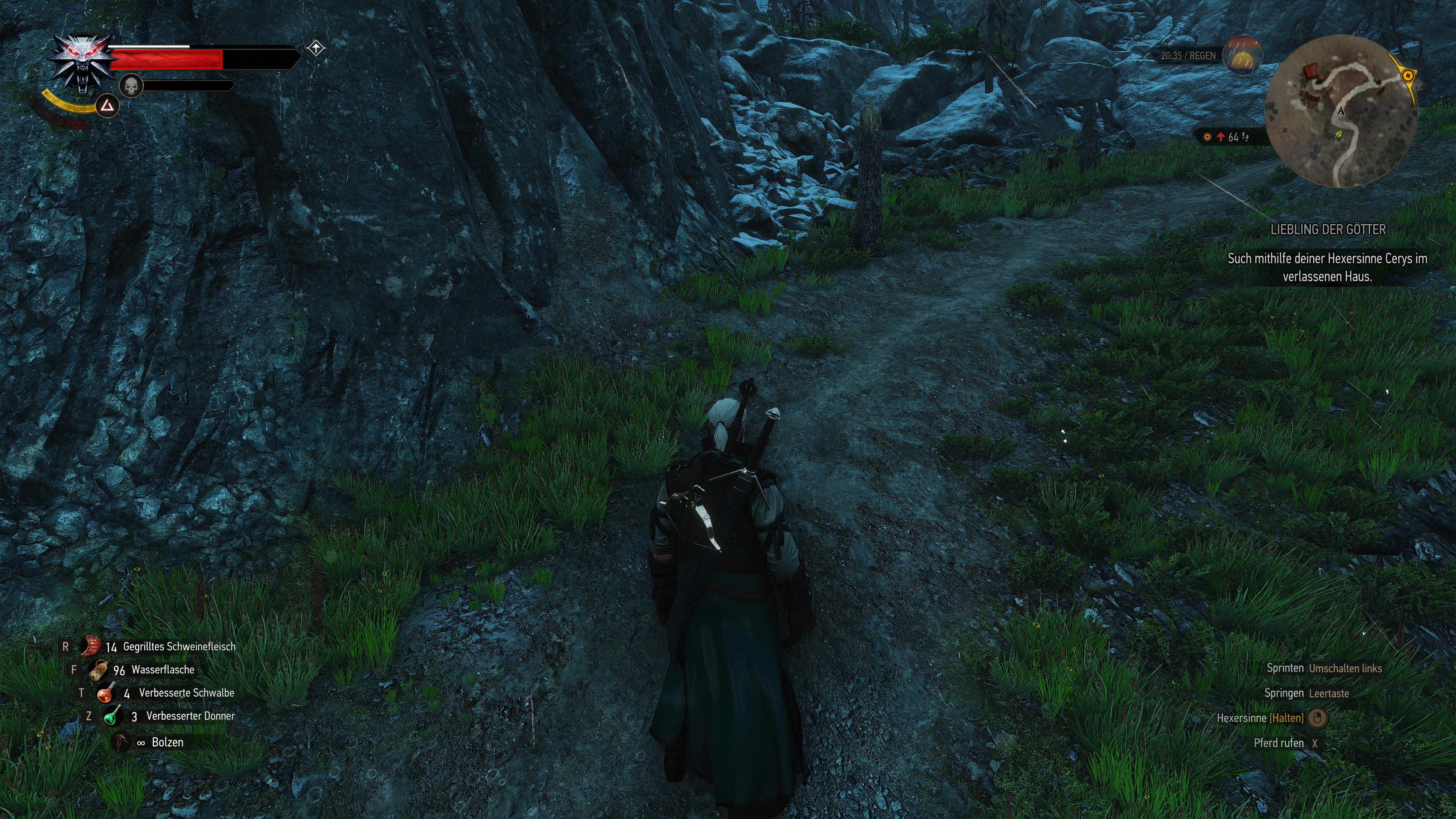 The Witcher 3 - 2.jpg