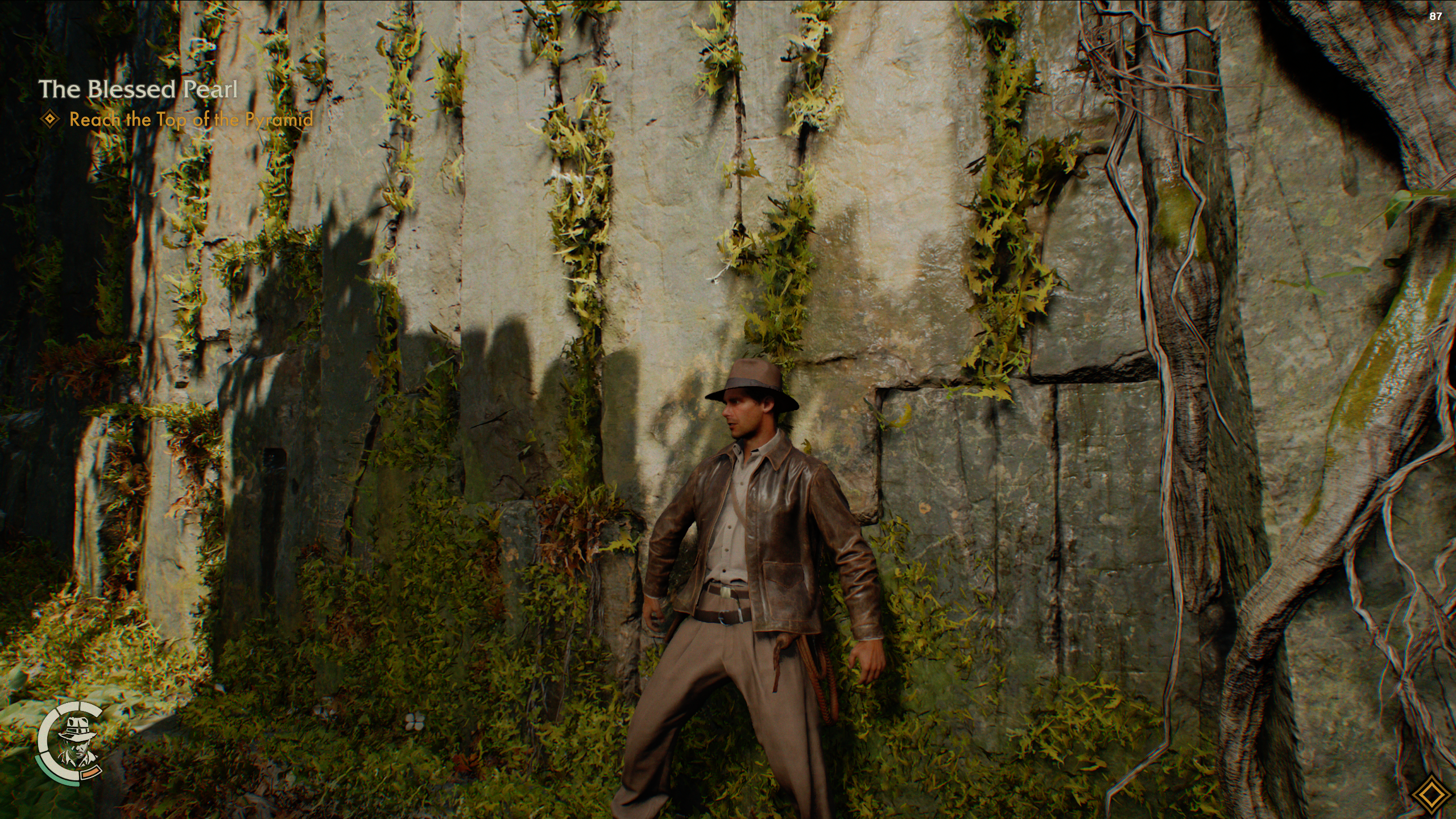 TheGreatCircle 11.02.2025 14_29_48.png