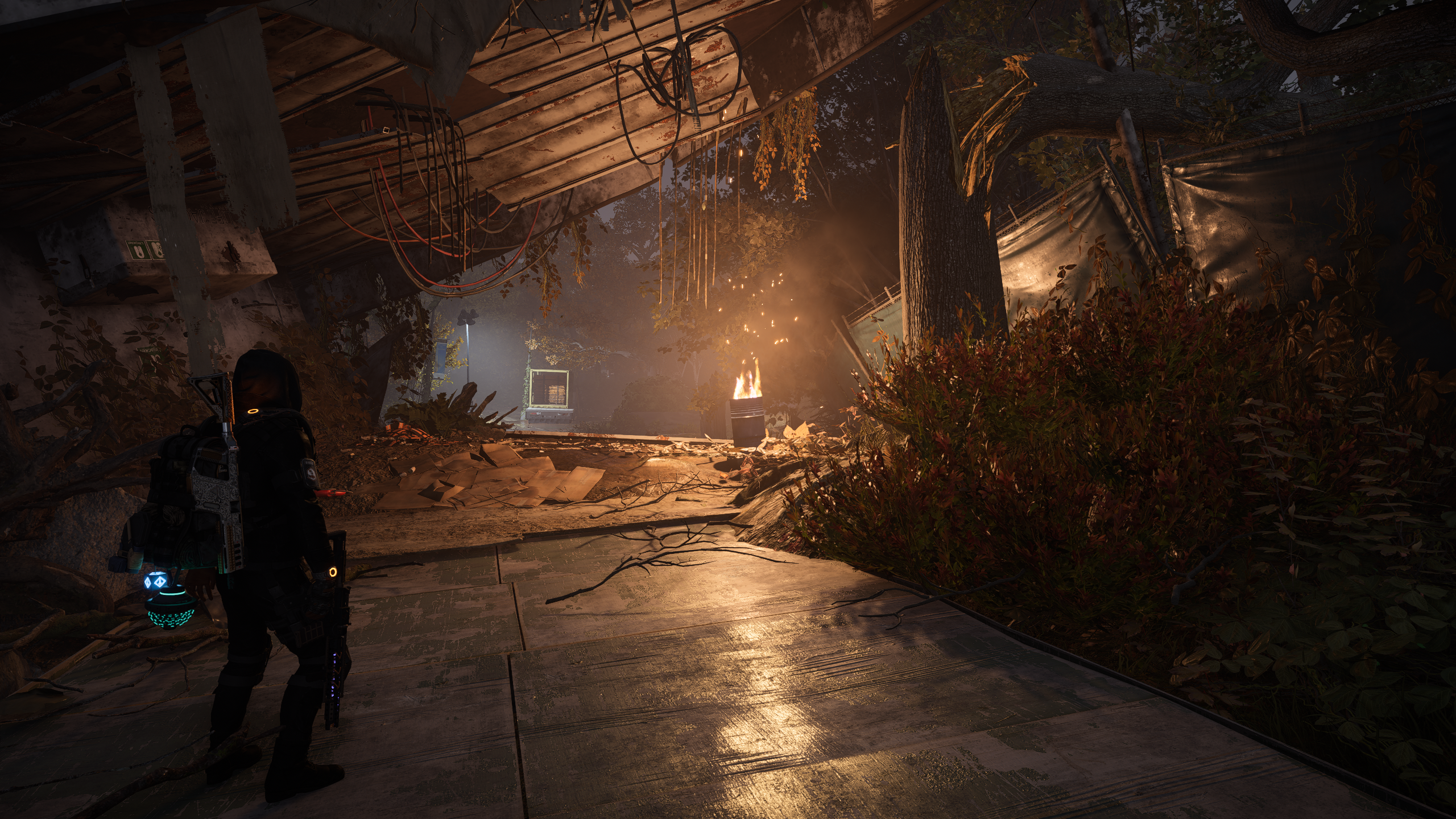 Tom Clancy's The Division 2_20250529_213525.png