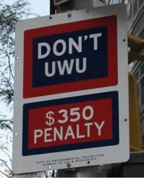 Unbenannt.jpg