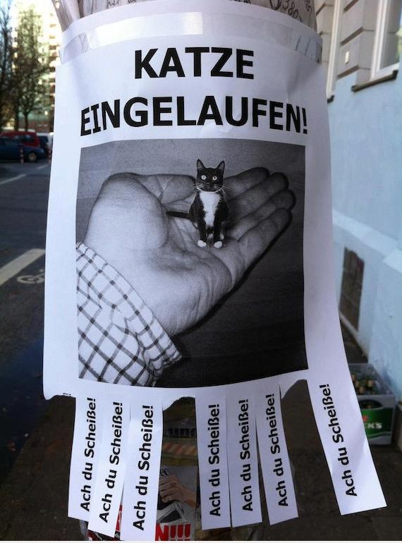 unbenannt-jpg.313832