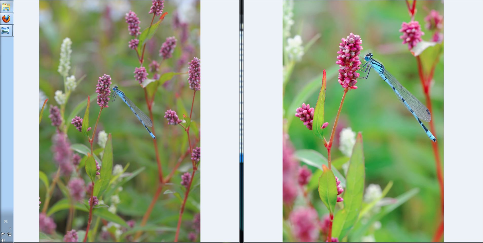 unbenannt3-jpg.353994