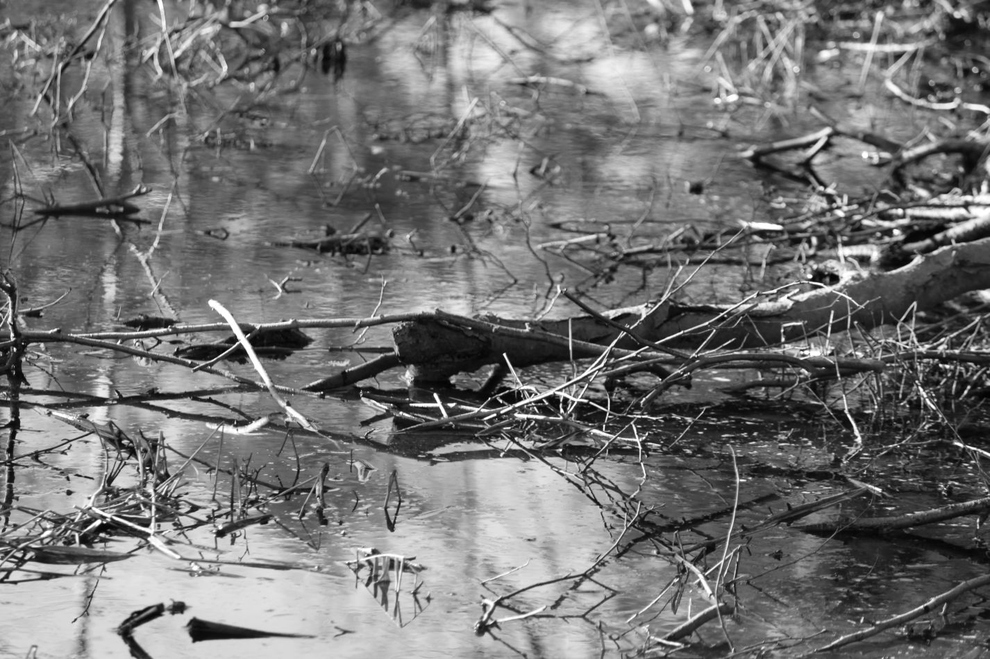 unter_wasser-jpg.224729