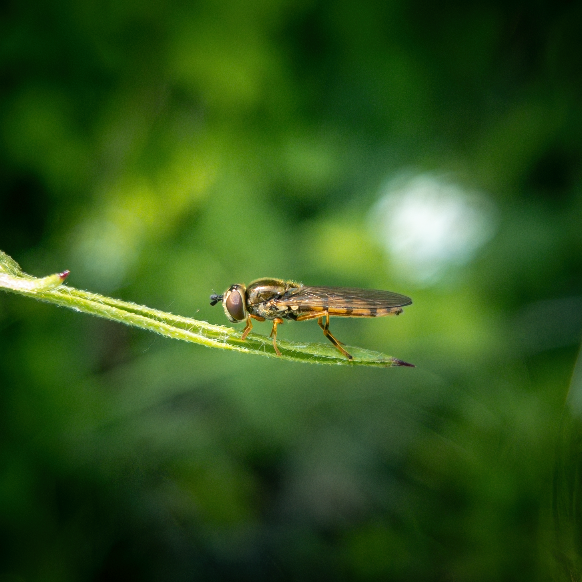 untitled-135015 1.png