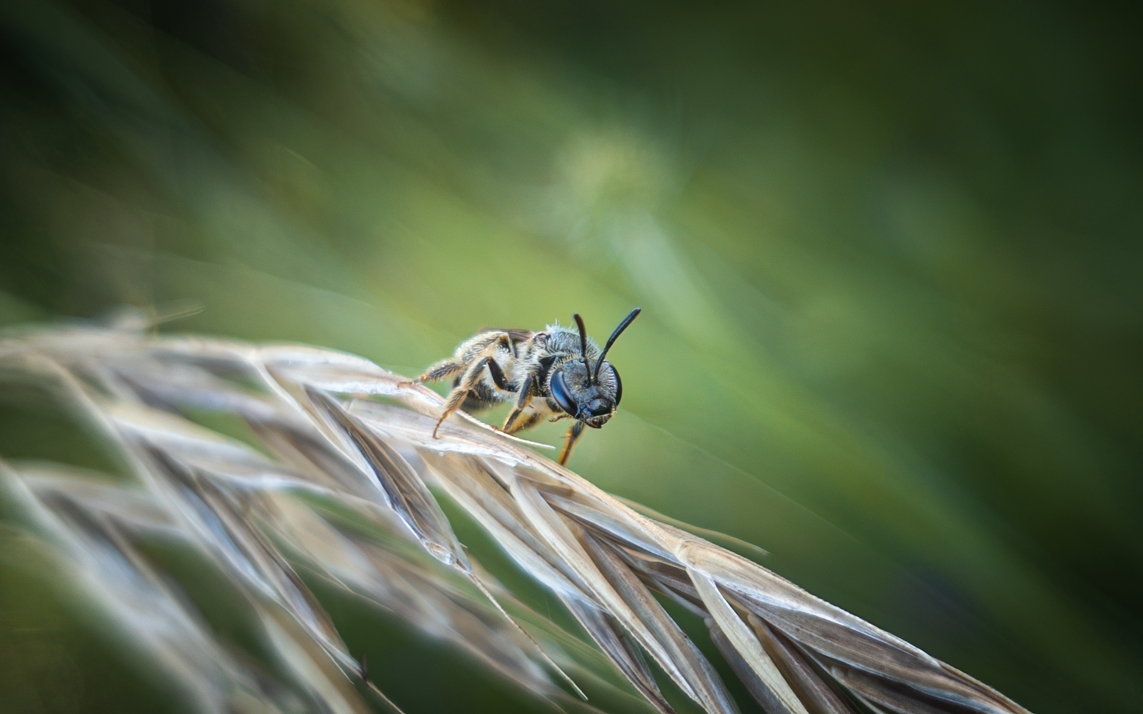 untitled-175007 1.png