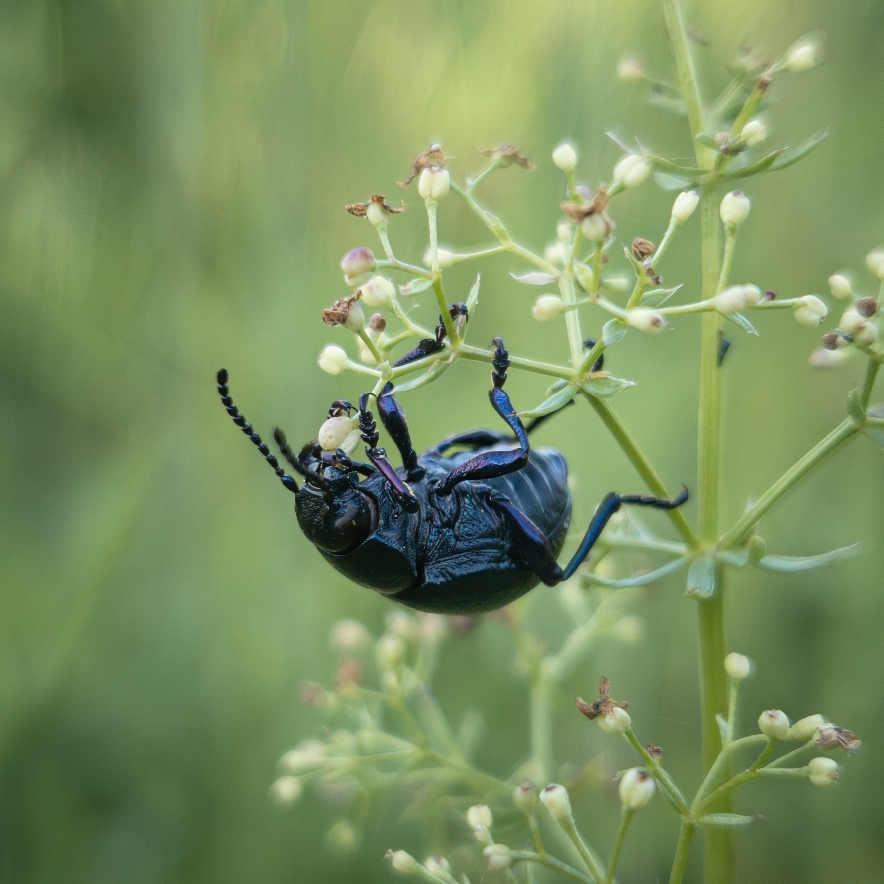 untitled-181332 1.png