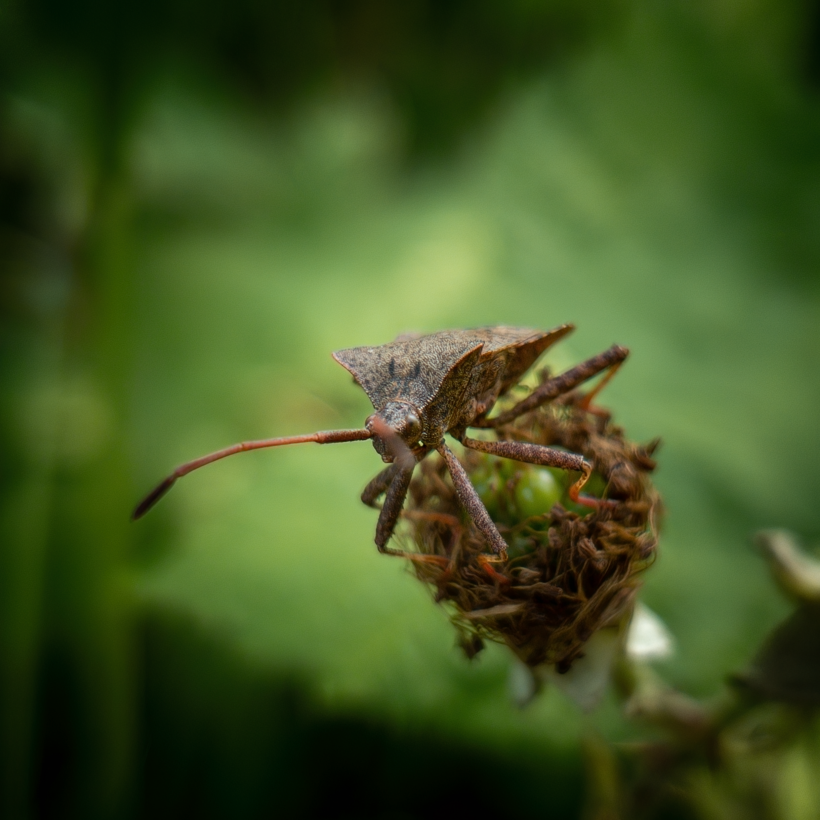 untitled-184346 1.png