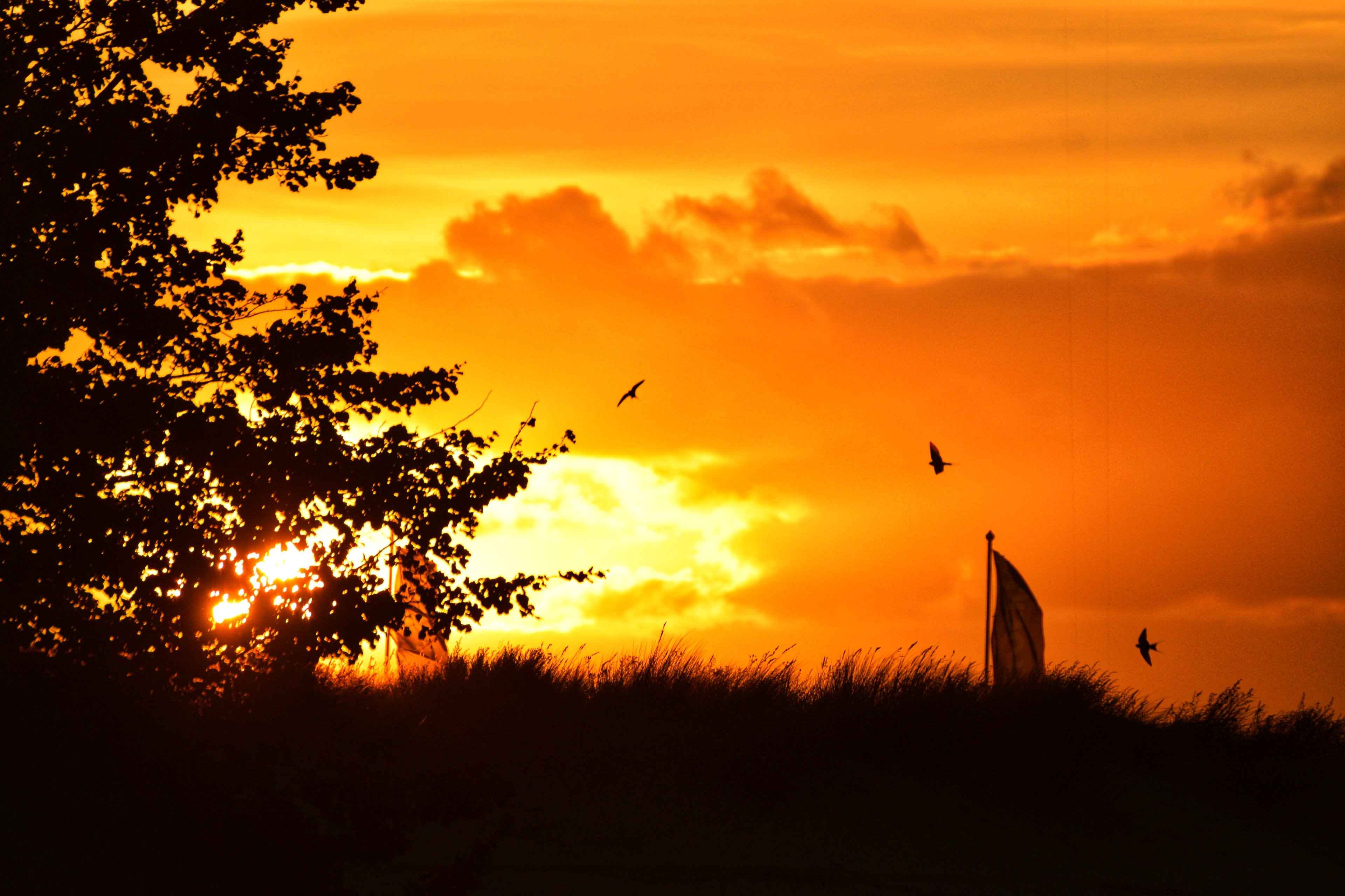 Warnemuende 2022-07-26 (33-1).jpeg