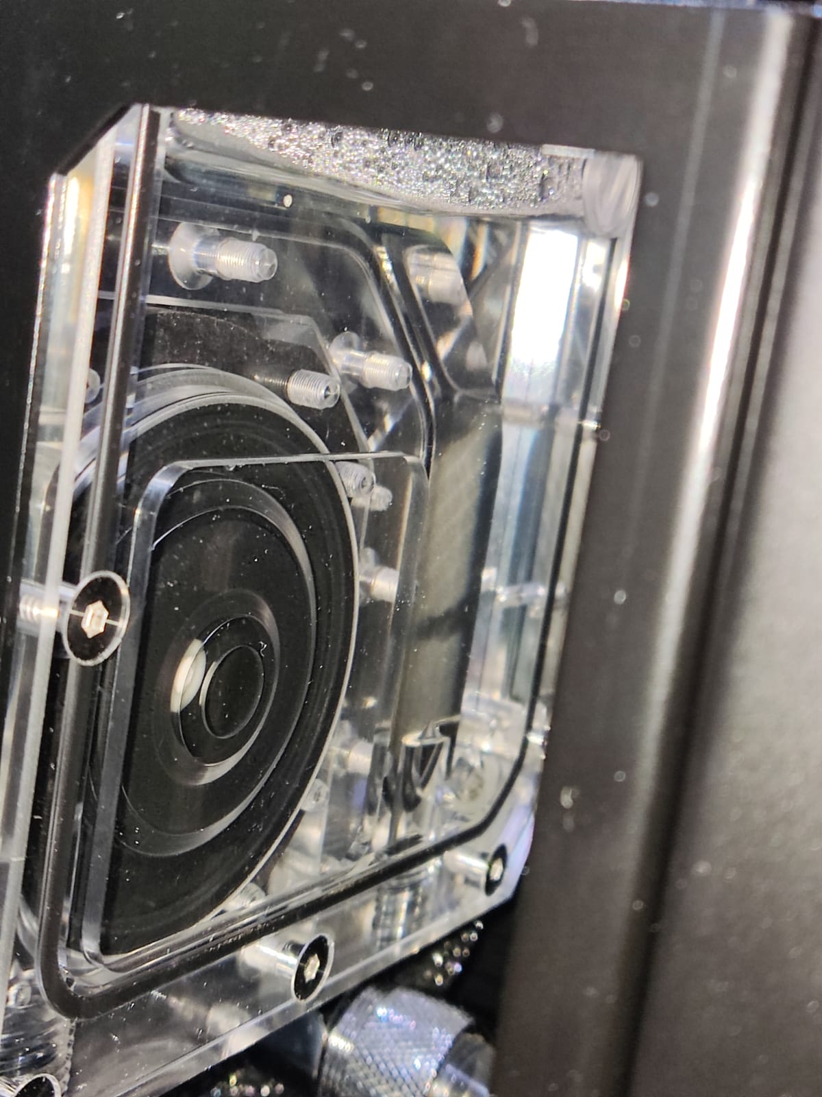 WhatsApp Bild 2023-03-01 u5.40.jpg