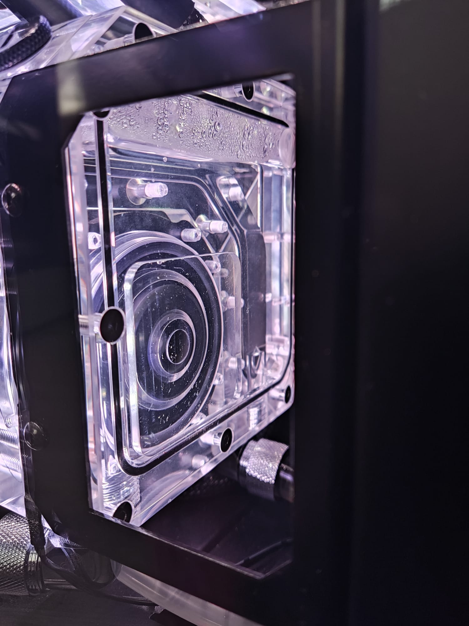 WhatsApp Bild 2023-03-01 um 17.47.58.jpg