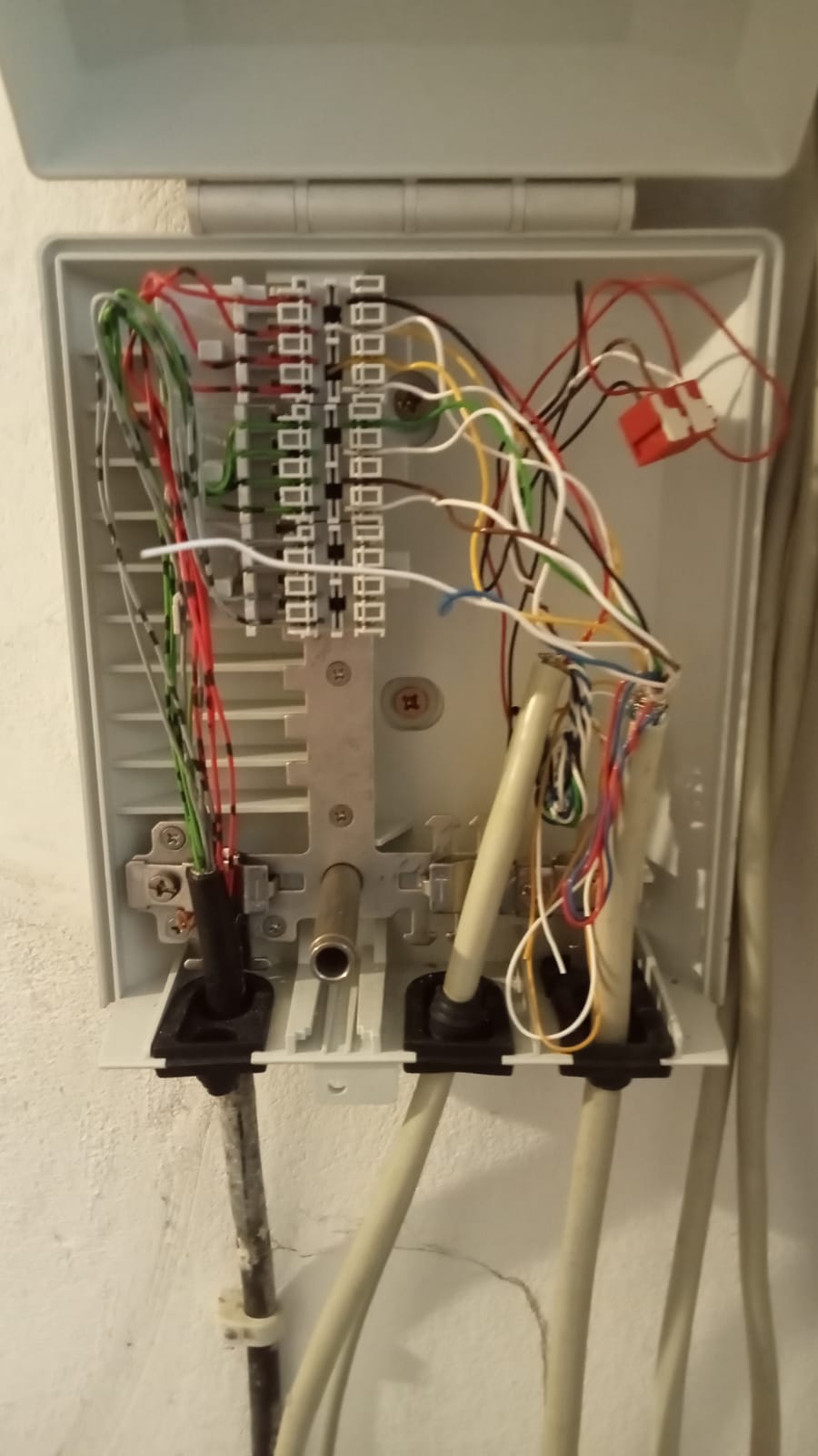 WhatsApp Bild 2023-07-23 um 19.16.17.jpg