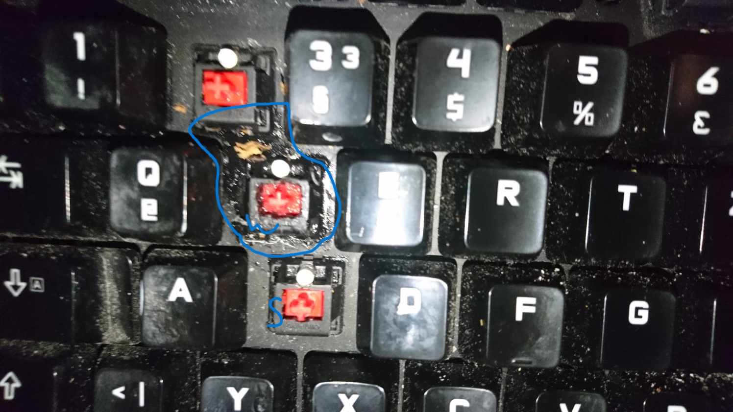 WhatsApp Bild 2024-04-22 um 20.24.05_2a592b11.jpg