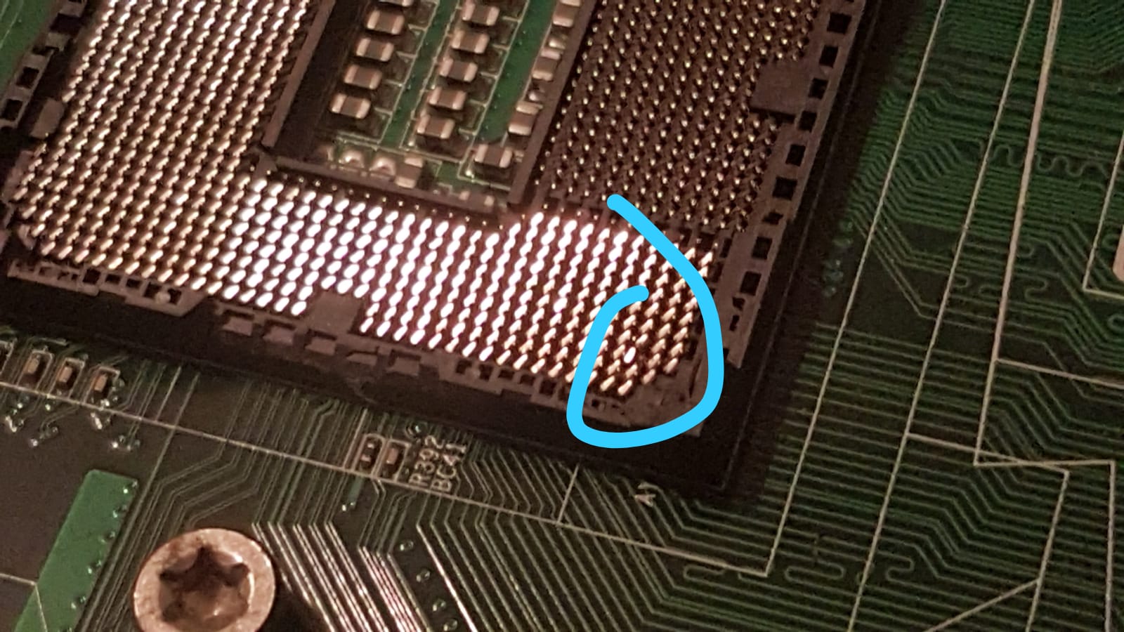 WhatsApp Image 2018-11-30 at 18.04.13.jpeg