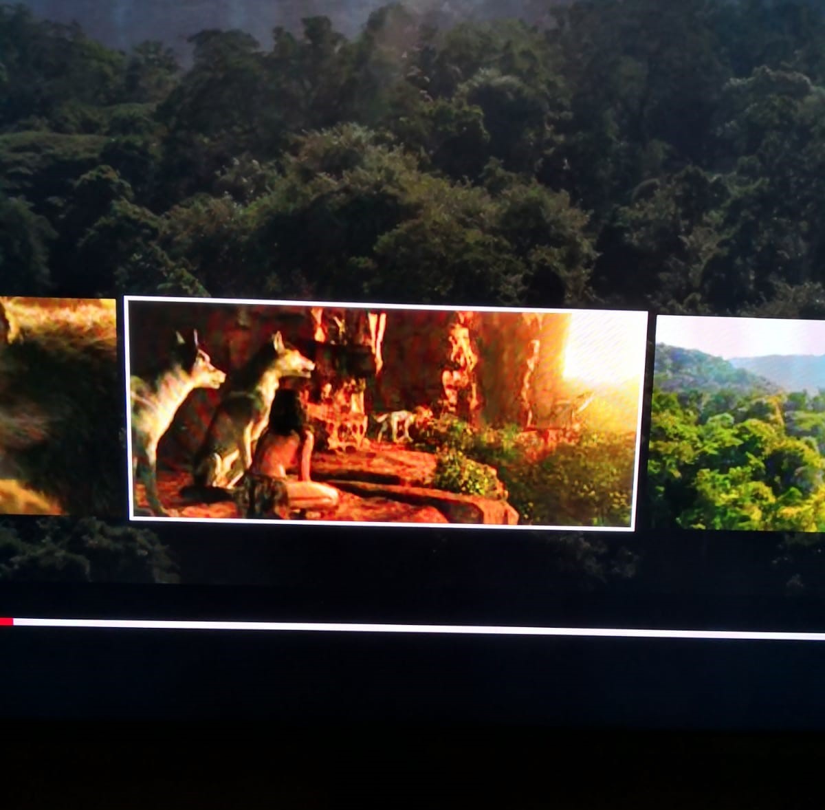 WhatsApp Image 2018-12-15 at 18.58.30 (2).jpeg