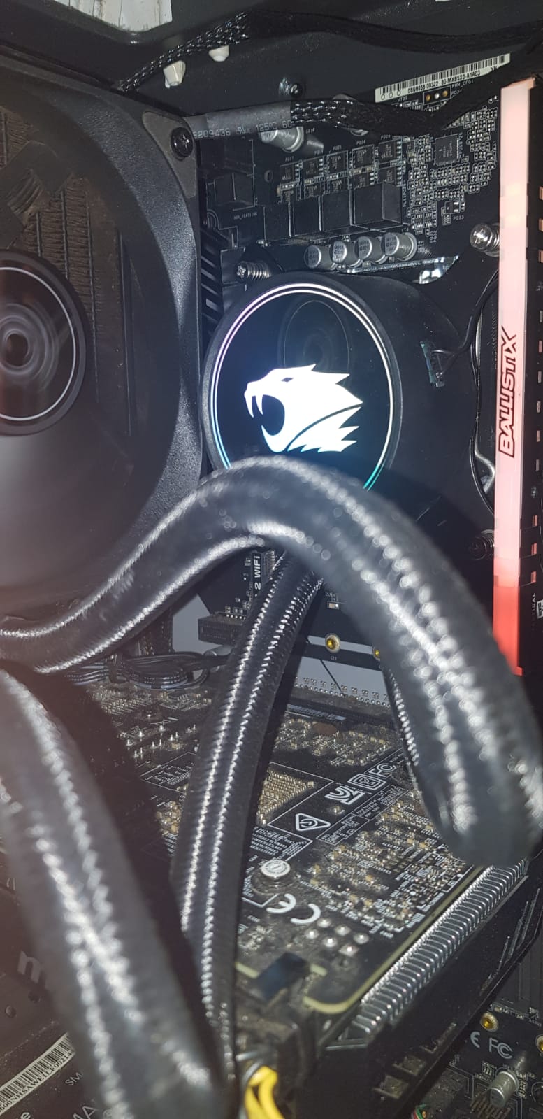 WhatsApp Image 2020-08-24 at 22.54.54.jpeg