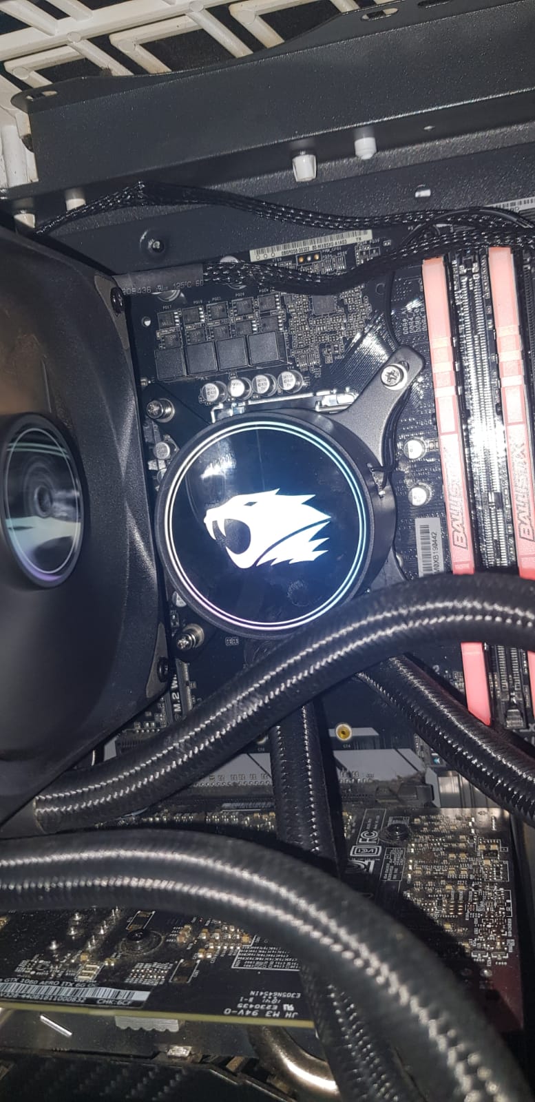 WhatsApp Image 2020-08-24 at 22.54.55.jpeg