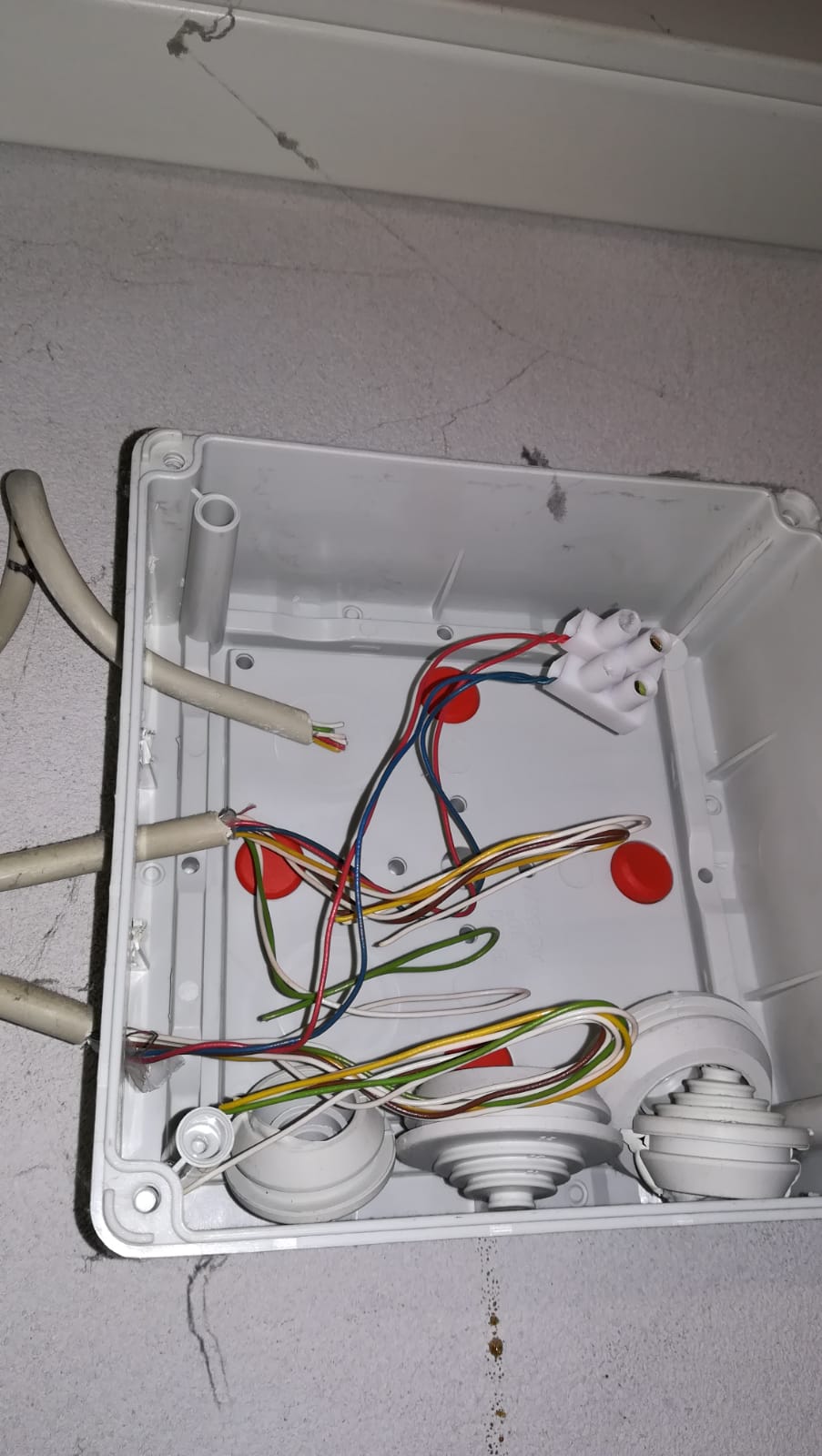 WhatsApp Image 2020-11-03 at 20.57.56.jpeg