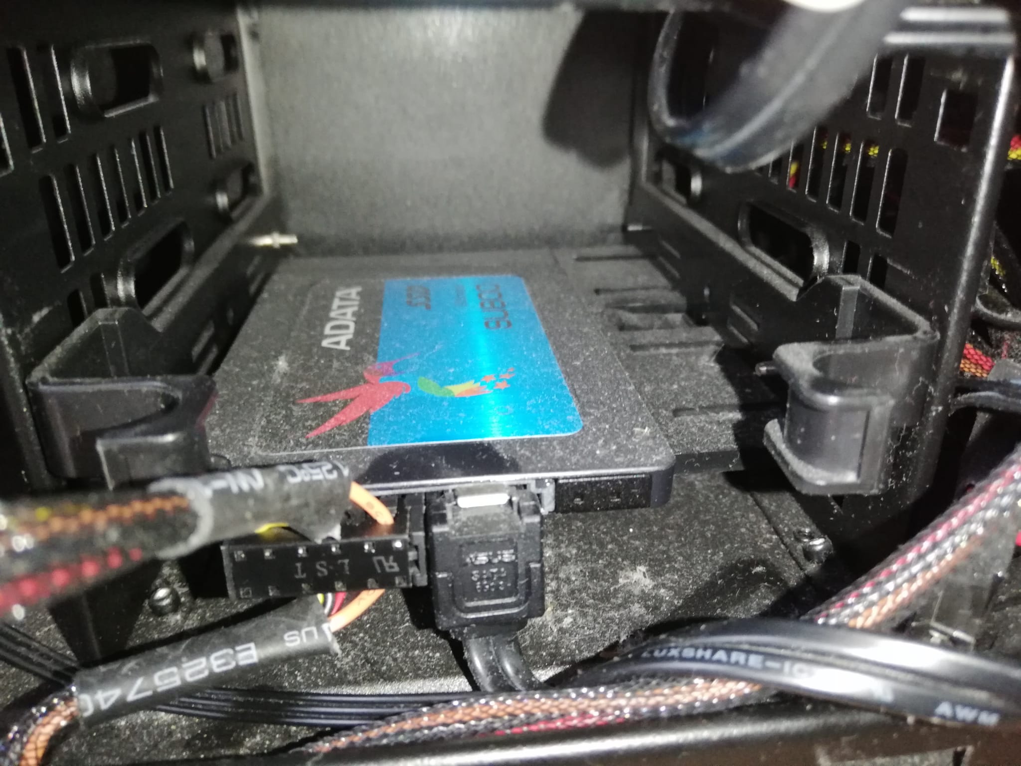 WhatsApp Image 2021-08-13 at 17.52.08.jpeg