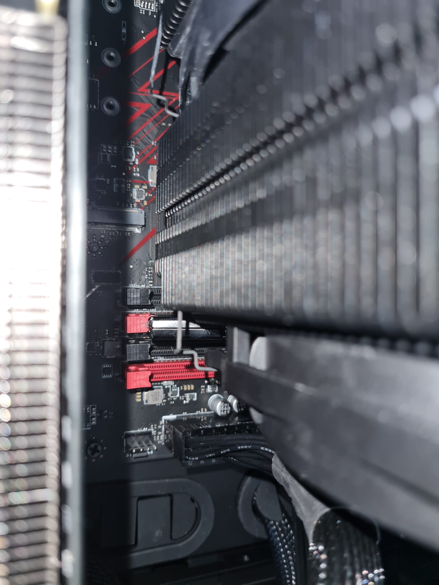 WhatsApp Image 2021-09-03 at 15.14.01.jpeg