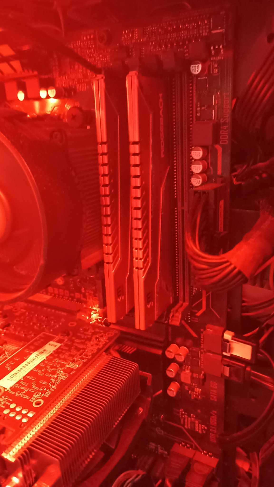 WhatsApp Image 2022-01-09 at 13.57.16.jpeg