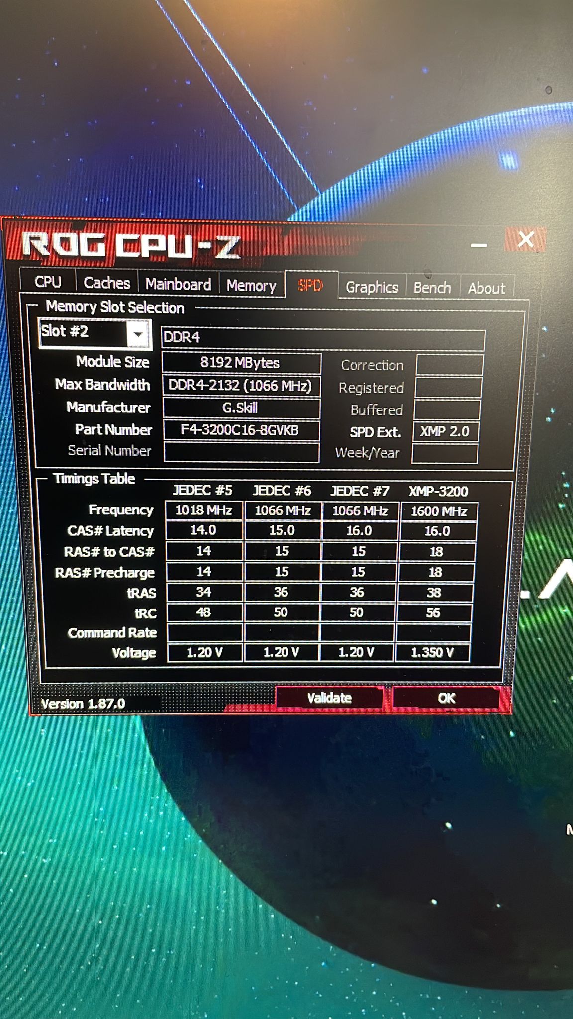 WhatsApp Image 2022-03-22 at 12.28.05.jpeg