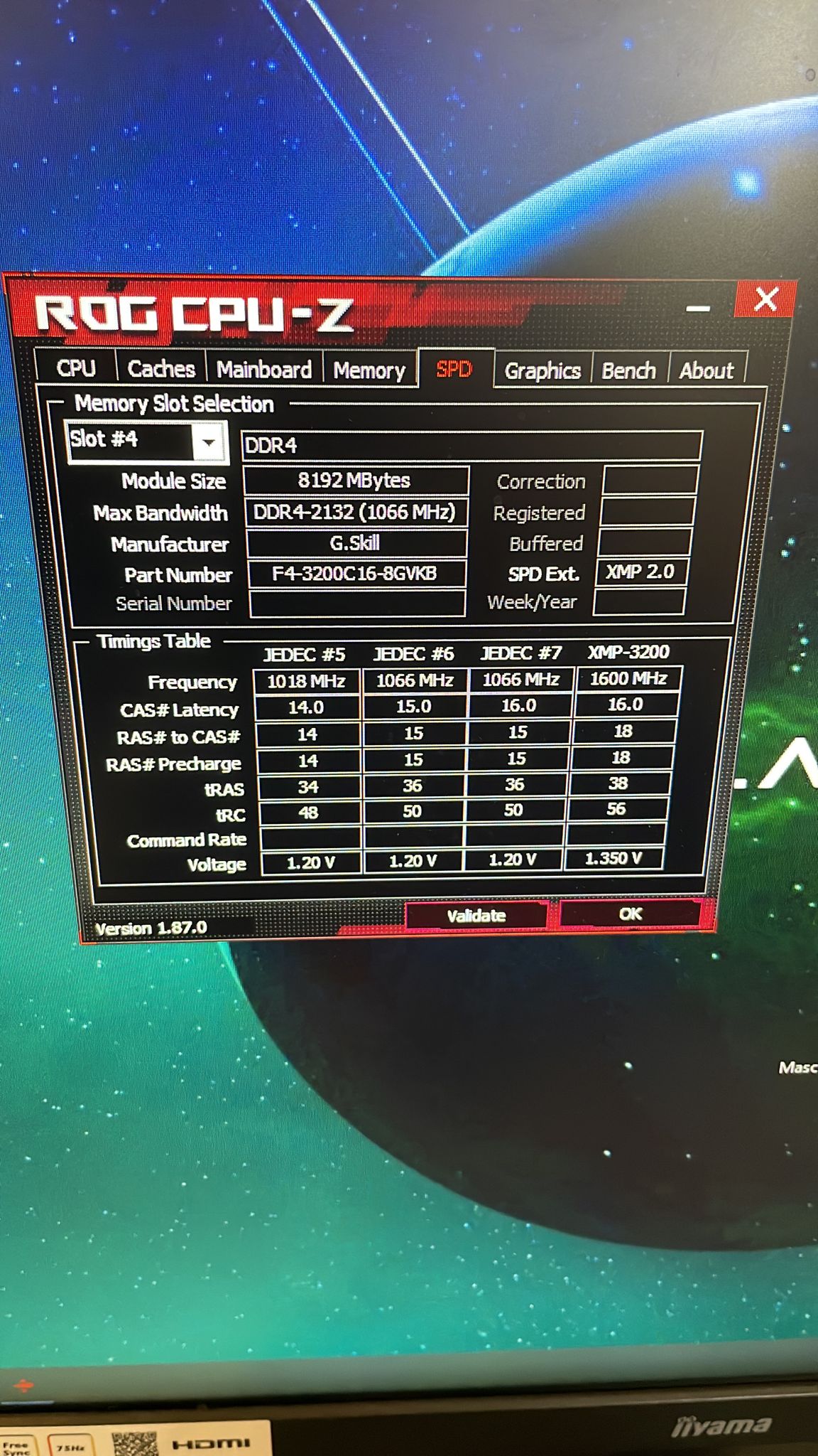 WhatsApp Image 2022-03-22 at 12.28.19.jpeg