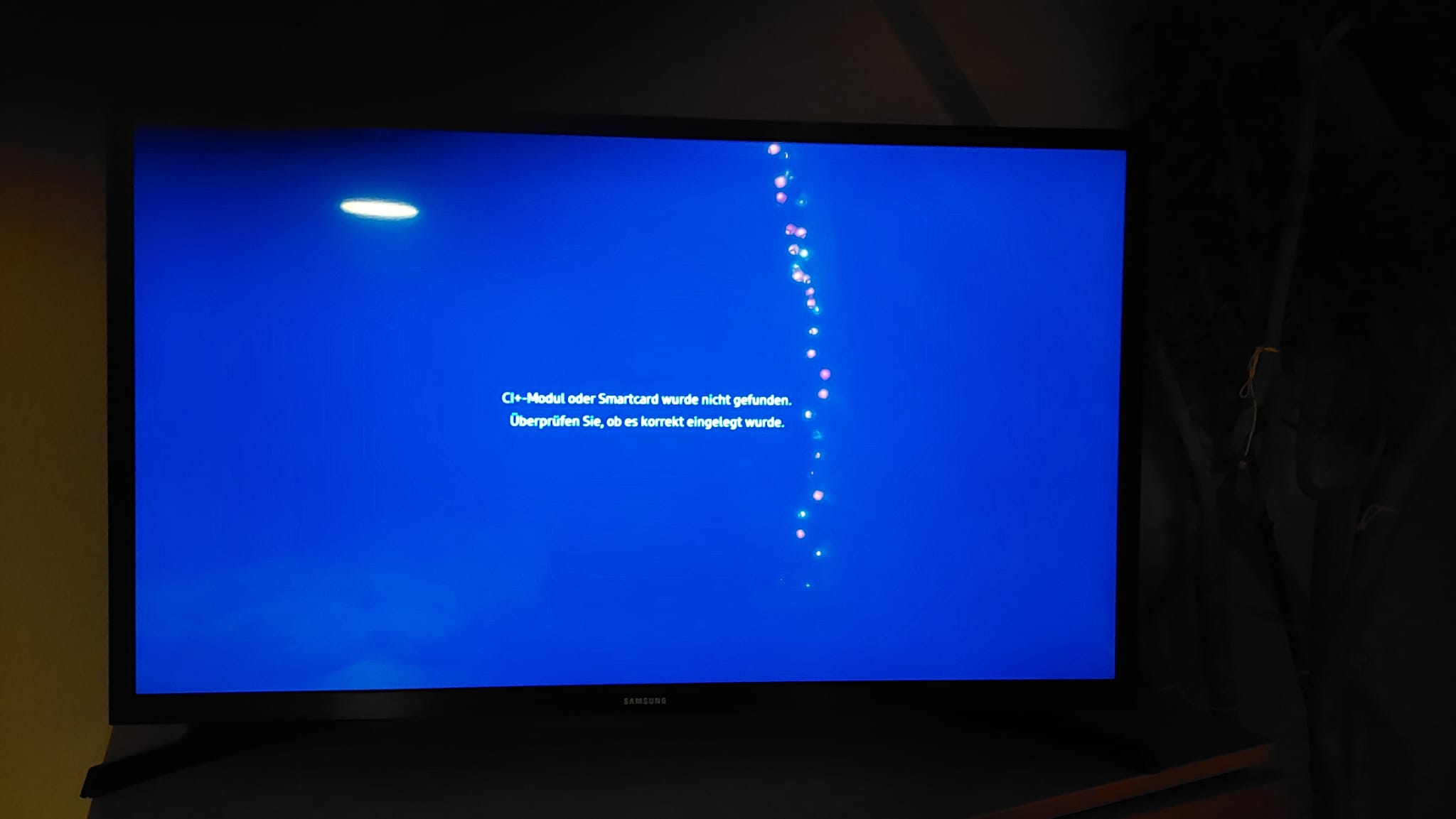 WhatsApp Image 2023-12-29 at 17.55.04.jpeg