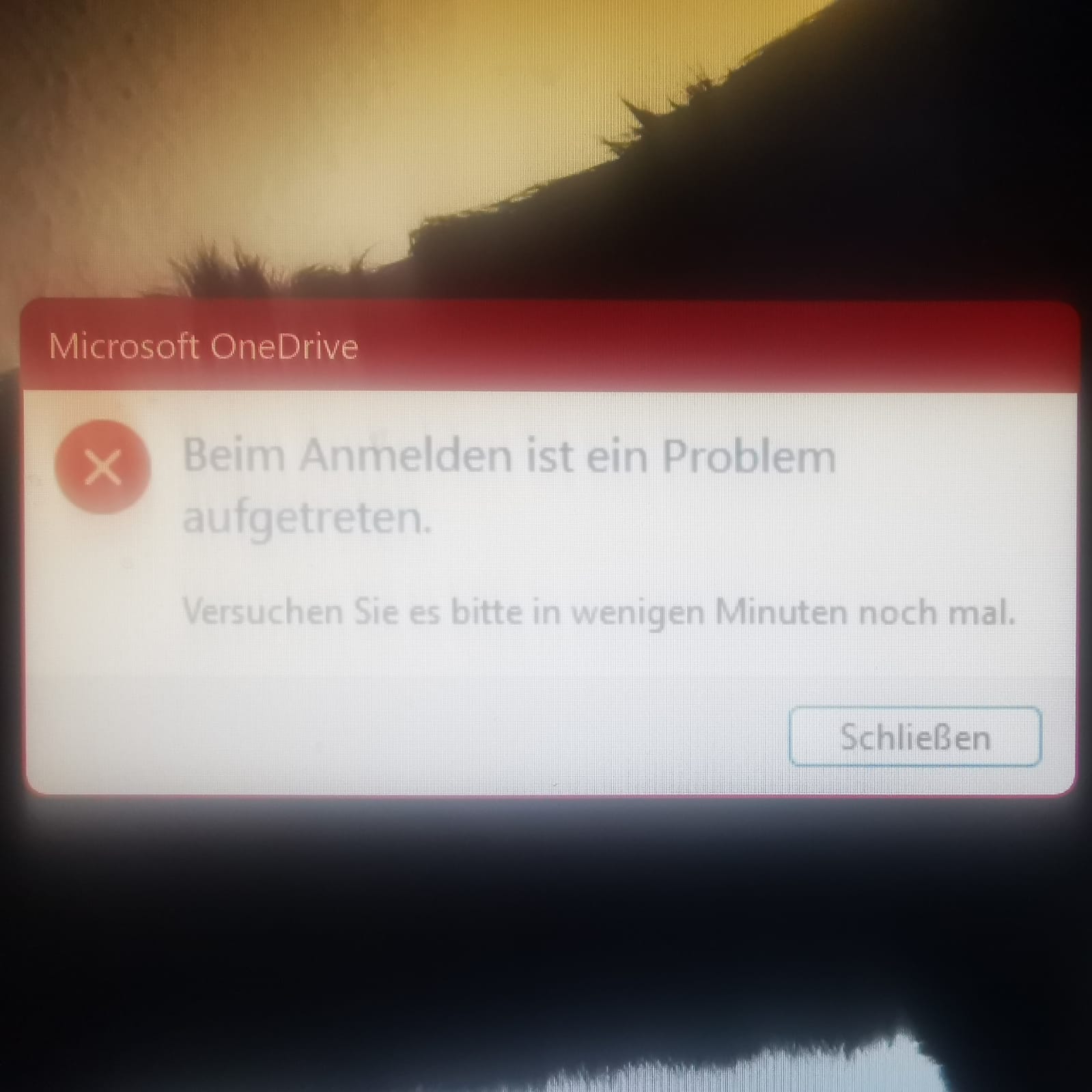 WhatsApp Image 2024-03-15 at 11.01.04.jpeg