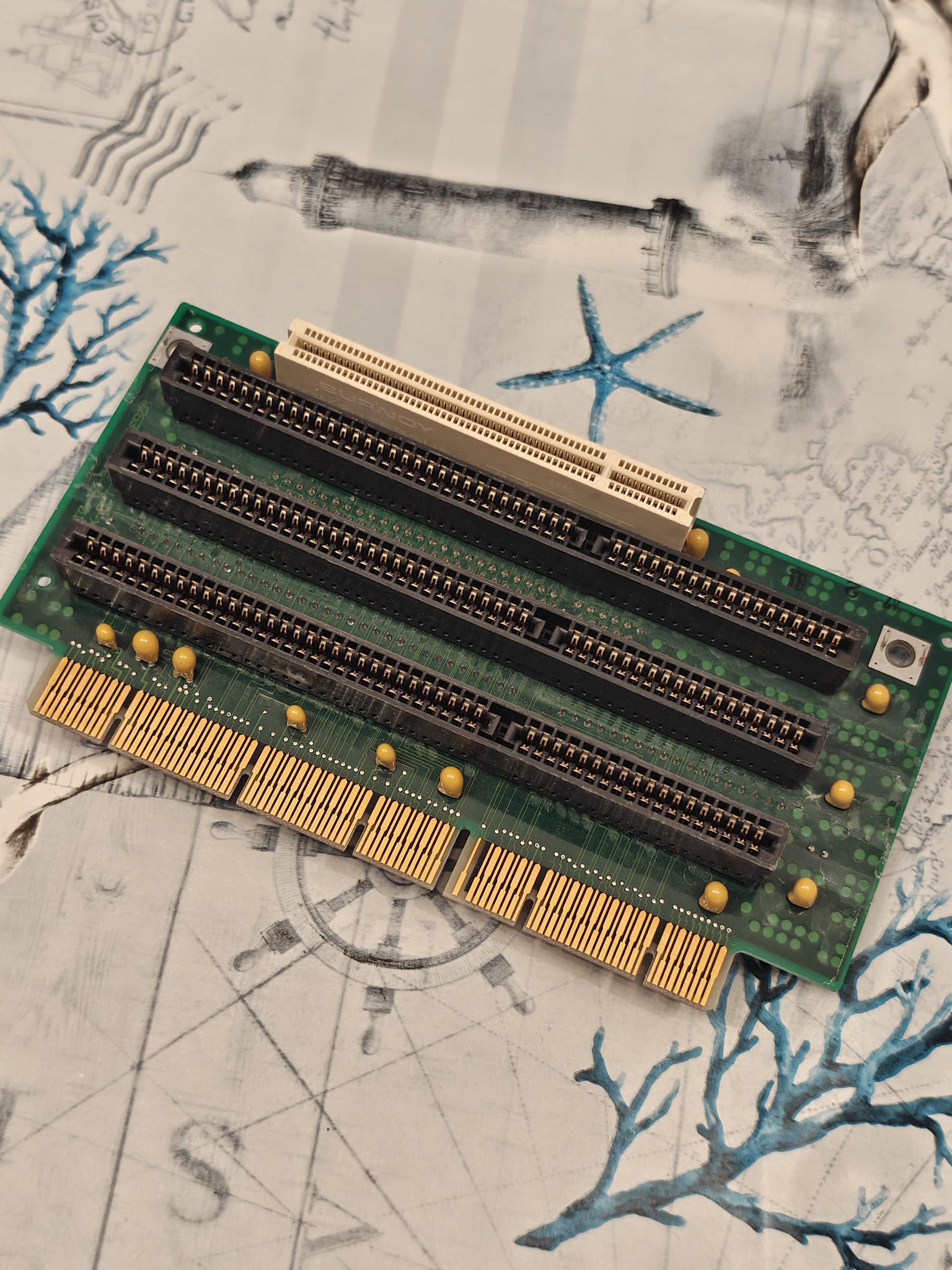 WhatsApp Image 2025-10-26 at 13.08.16 (4).jpeg